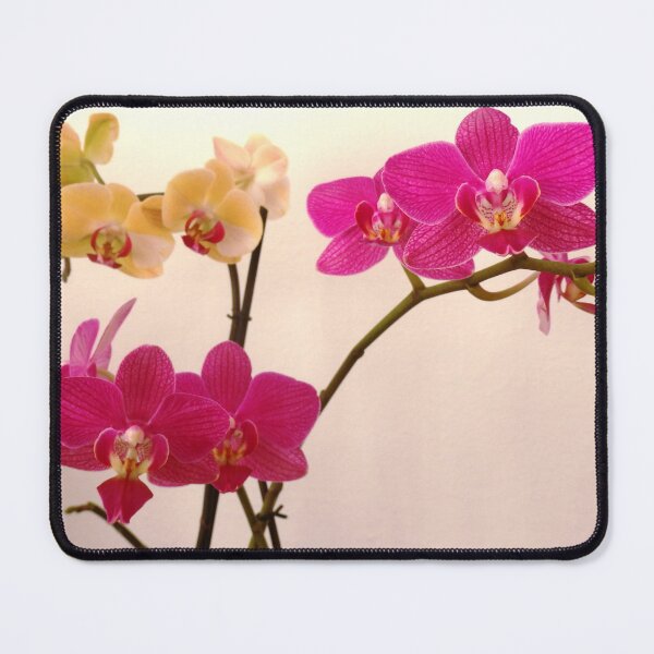 Item preview, Florish Orchids designed and sold by Betulek.