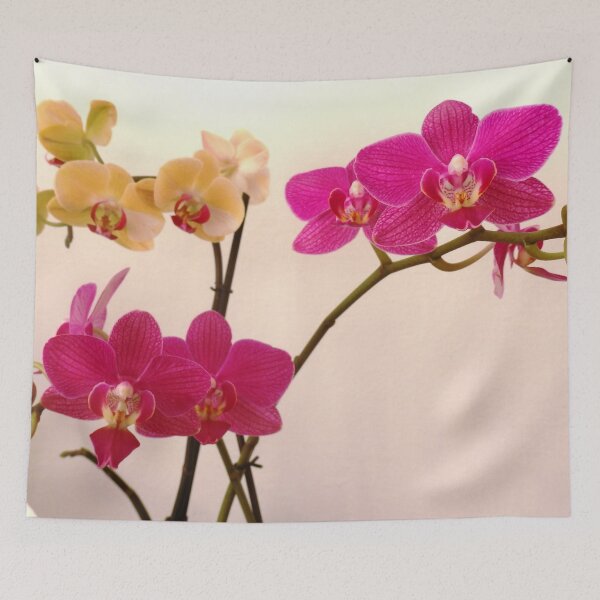 Item preview, Florish Orchids designed and sold by Betulek.