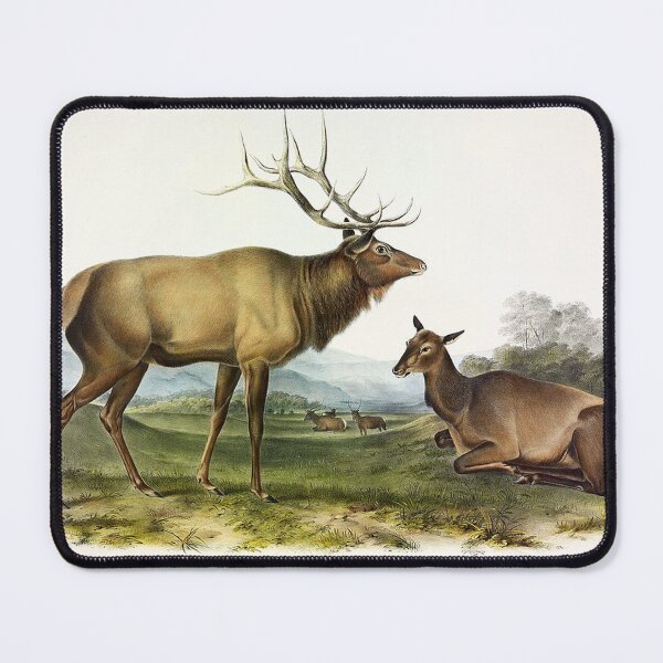 Item preview, American Elk designed and sold by tomorrowsart.