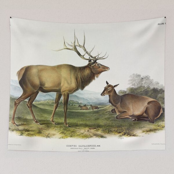 Item preview, American Elk designed and sold by tomorrowsart.
