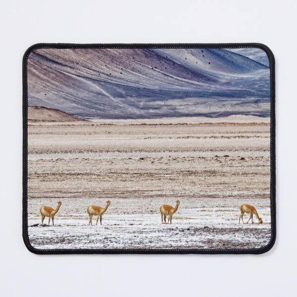 Item preview, Wild Vicuñas at Salar de Antofalla Salt Flat Argentina designed and sold by Keltoi-art.