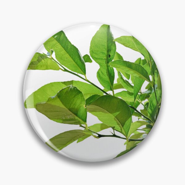 Item preview, Lemon Leaves In Green designed and sold by DezinerDee.