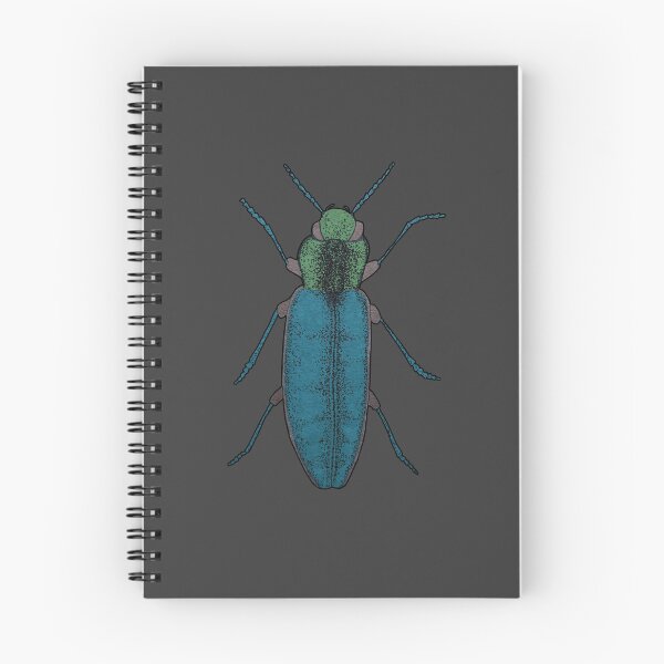Item preview, Hand drawn Jewel bug beetle illustration designed and sold by Sheridanlongdog.