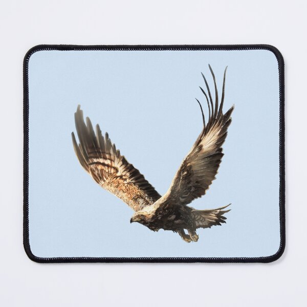 Item preview, Golden Eagle (Borderless) designed and sold by alandodrawing.