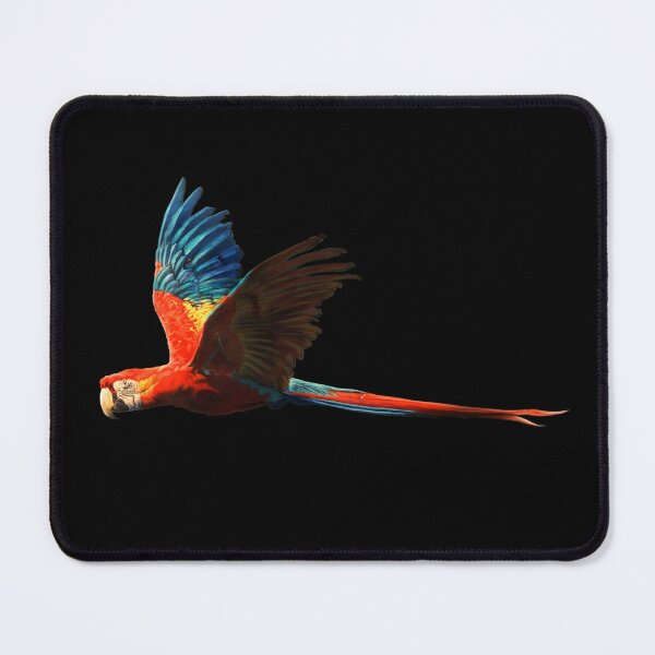 Item preview, Scarlet Macaw Parrot (Borderless) designed and sold by alandodrawing.