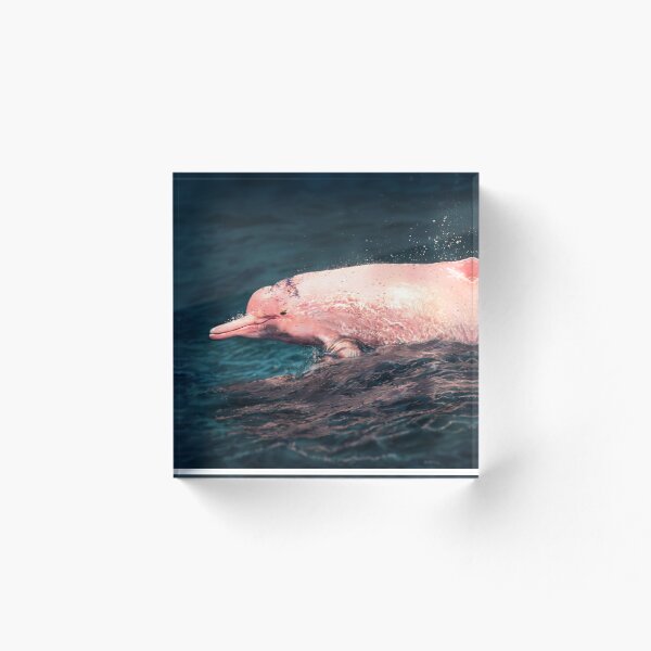 Item preview, Pink dolphin designed and sold by alandodrawing.