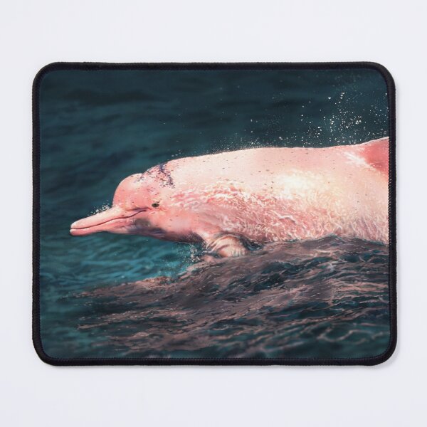Item preview, Pink dolphin designed and sold by alandodrawing.