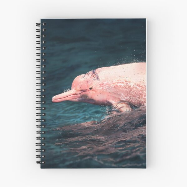 Item preview, Pink dolphin designed and sold by alandodrawing.