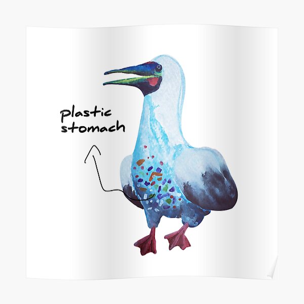 Plastic Stomach Poster