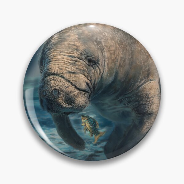Item preview, Manatee Appreciation Day designed and sold by alandodrawing.