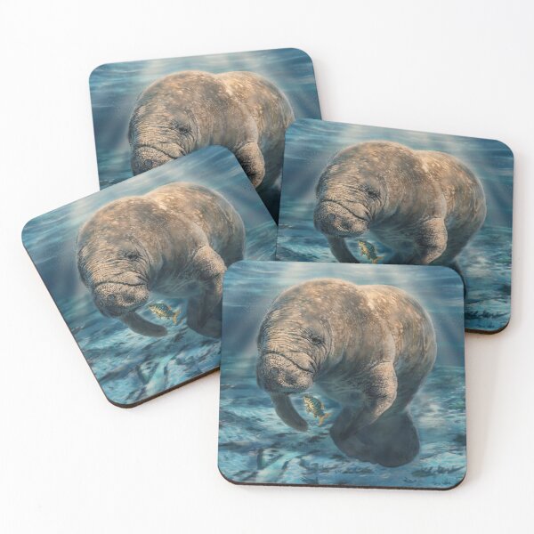 Item preview, Manatee Appreciation Day designed and sold by alandodrawing.