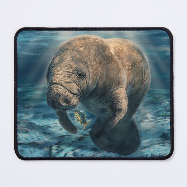 Item preview, Manatee Appreciation Day designed and sold by alandodrawing.