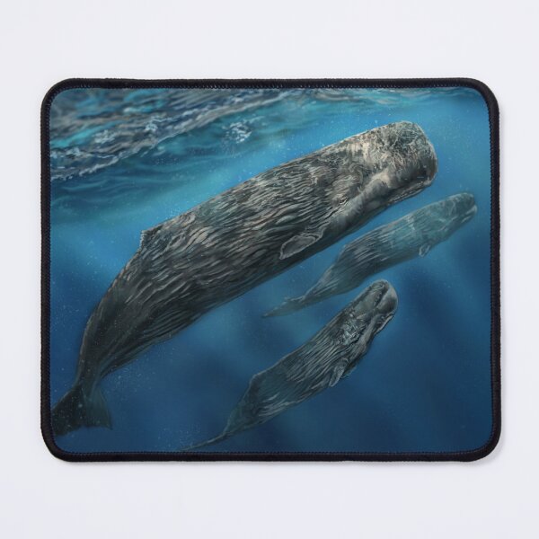 Item preview, World Whale Day designed and sold by alandodrawing.