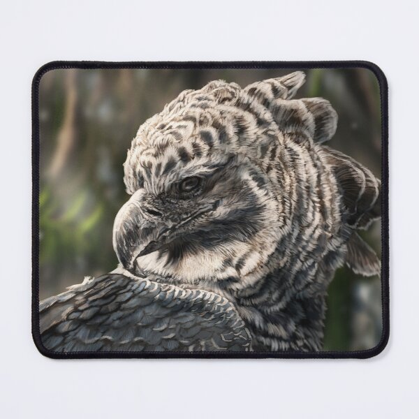 Item preview, Harpy Eagle designed and sold by alandodrawing.