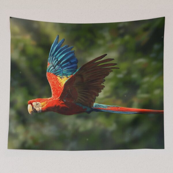 Item preview, Scarlet Macaw Parrot designed and sold by alandodrawing.