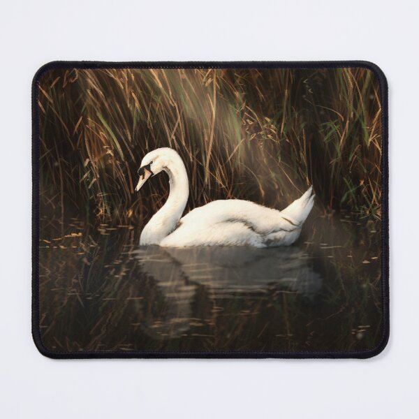 Item preview, Serenity Lake- Mute Swan designed and sold by alandodrawing.