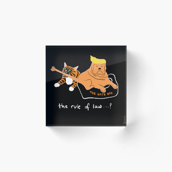 The Rule of Law Acrylic Block