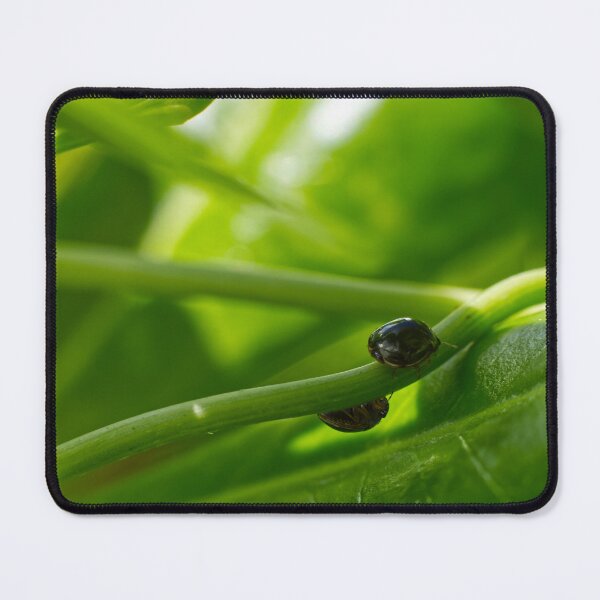 Item preview, Bugs Strolling Around designed and sold by AWanderingMind.