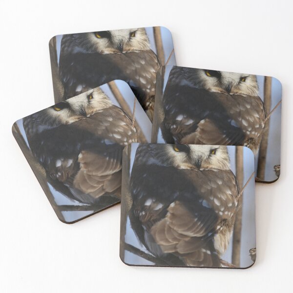Item preview, Saw-whet Owl in Winter designed and sold by locustgirl.