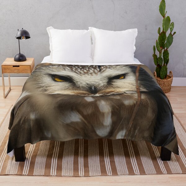 Item preview, Saw-whet Owl Close-Up designed and sold by locustgirl.