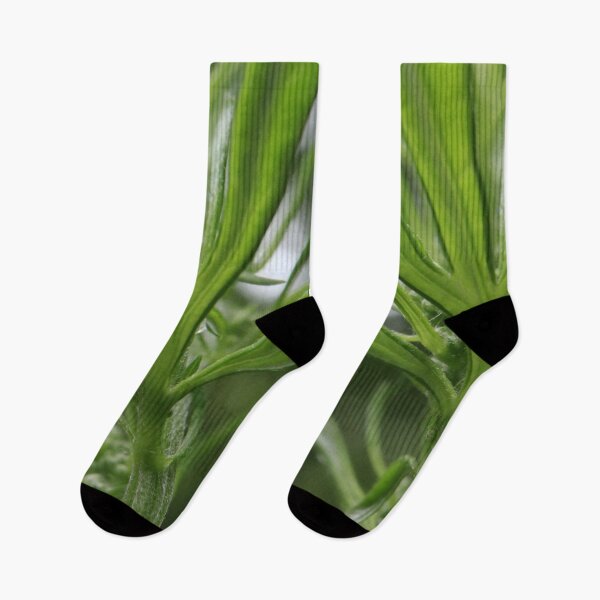 Item preview, Macro Green Plant Stem Detail designed and sold by vikko-art.