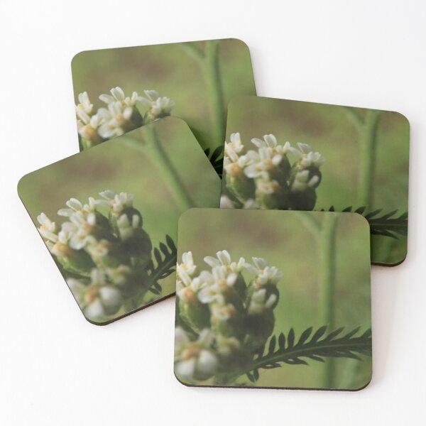 Item preview, Delicate White Wildflowers Macro designed and sold by vikko-art.