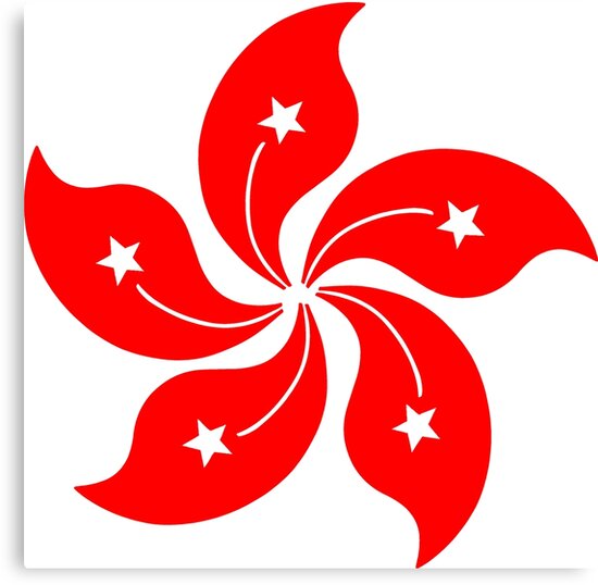 "Flower of Hong Kong" Canvas Print by sweetsixty Redbubble