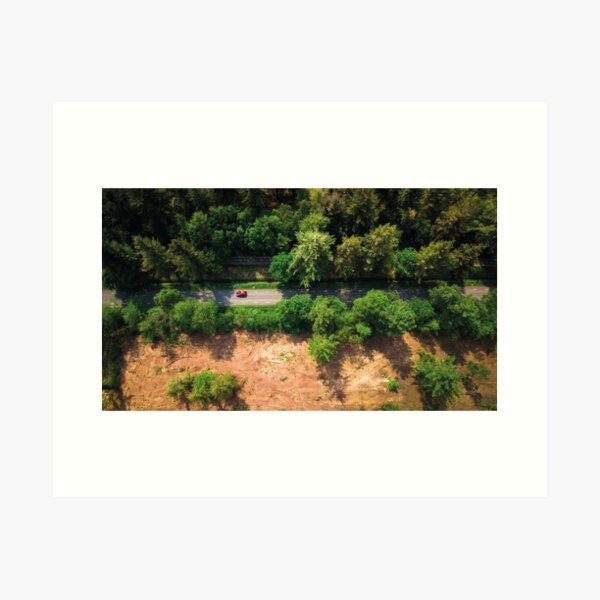 Going Places Art Print