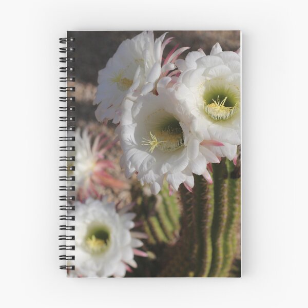 Item preview, Cactus Flowers Bloom designed and sold by Margaret McNally.
