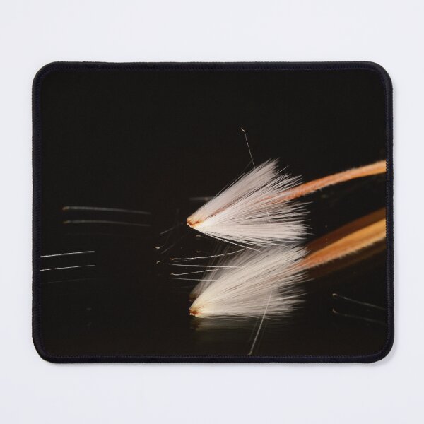 Item preview, Protea Seed Macro Minimalism designed and sold by Goiko7Margarita.