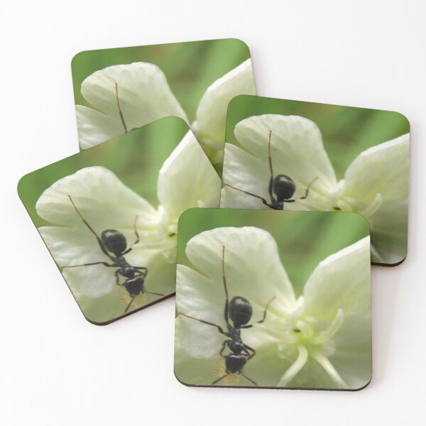 Item preview, Tiny Ant on White Flower Macro designed and sold by vikko-art.