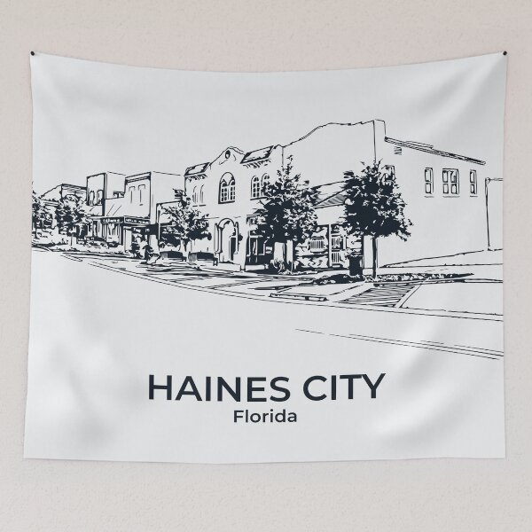 Item preview, Haines City - Florida designed and sold by Lakeric.