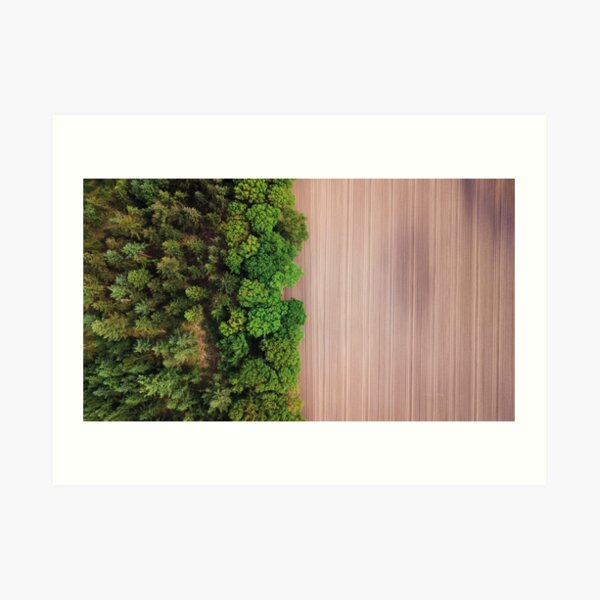 Woods & Planes Art Print
