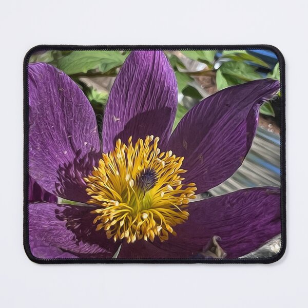 Item preview, Prairie Crocus designed and sold by PementPhotoArt.