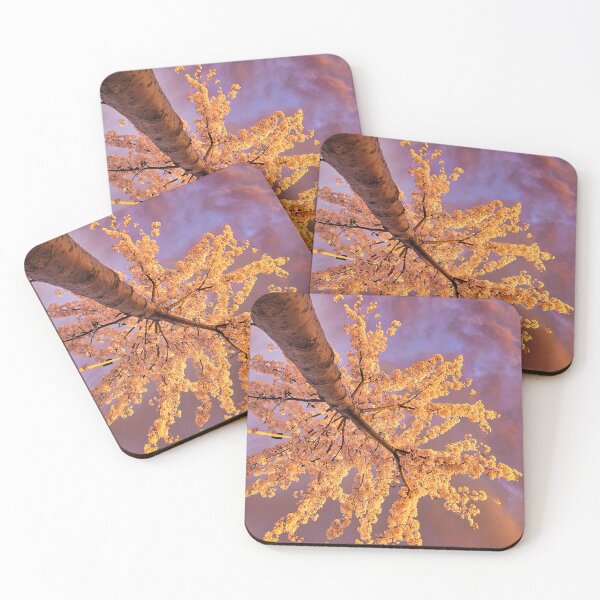 Item preview, Golden Hour Blossoms 2: Upside Down designed and sold by Spiral Roots.