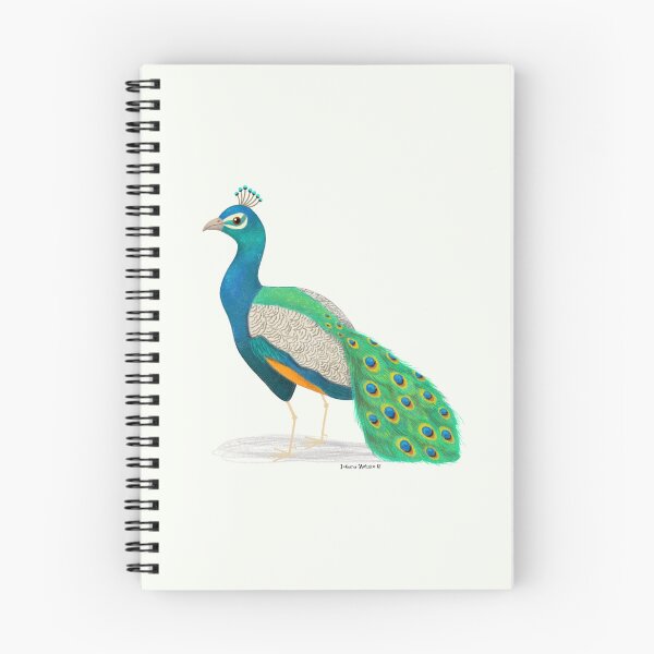 Item preview, Indian Peafowl designed and sold by julianamotzko.