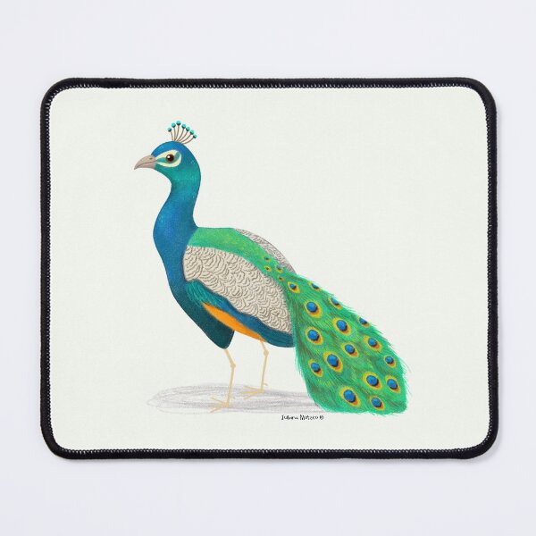 Item preview, Indian Peafowl designed and sold by julianamotzko.