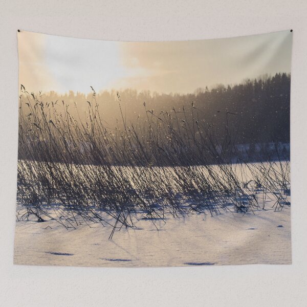 Item preview, Reeds and snowflakes. Kulovesi Siuro 2026 designed and sold by Jouko Lehto Photography.