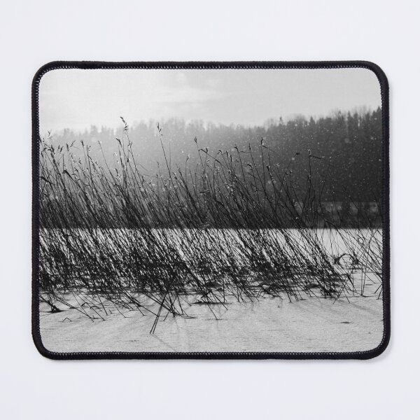 Item preview, Reeds and snowflakes. Kulovesi Siuro 2026 bw designed and sold by Jouko Lehto Photography.