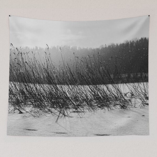 Item preview, Reeds and snowflakes. Kulovesi Siuro 2026 bw designed and sold by Jouko Lehto Photography.