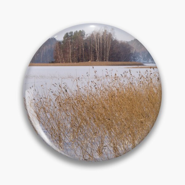 Item preview, Golden reeds frozen lake. Kulovesi Siuro 2026 designed and sold by Jouko Lehto Photography.