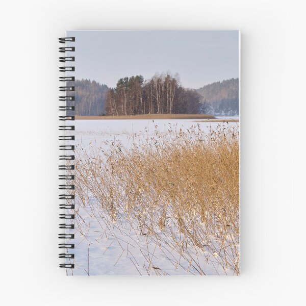 Item preview, Golden reeds frozen lake. Kulovesi Siuro 2026 designed and sold by Jouko Lehto Photography.