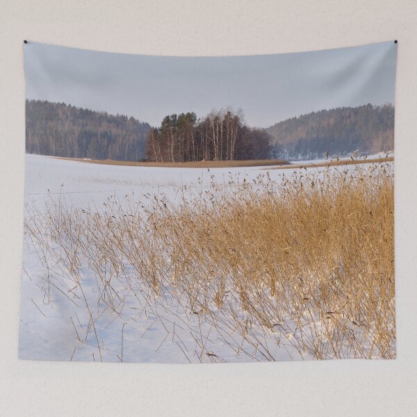 Item preview, Golden reeds frozen lake. Kulovesi Siuro 2026 designed and sold by Jouko Lehto Photography.