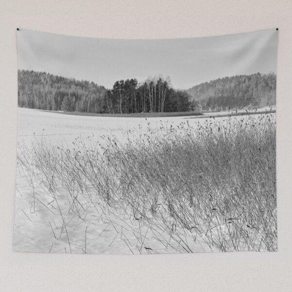 Item preview, Golden reeds frozen lake. Kulovesi Siuro 2026 bw designed and sold by Jouko Lehto Photography.