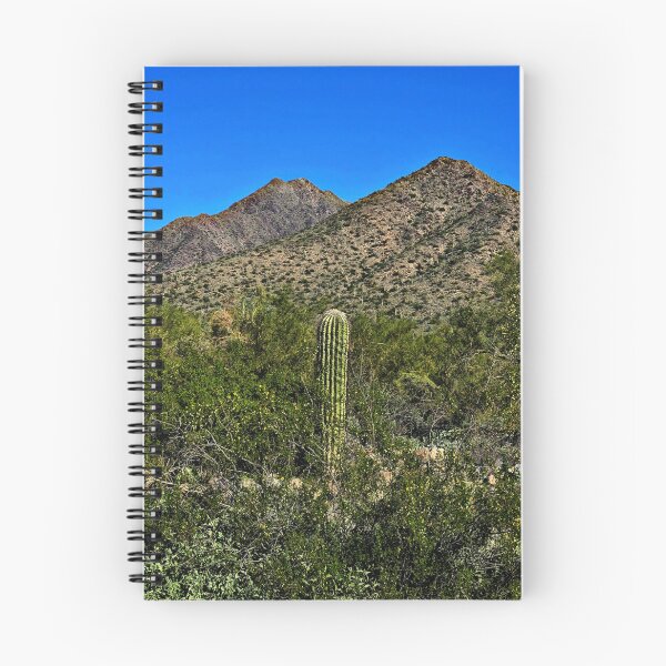 Item preview, Cactus Hike designed and sold by Margaret McNally.