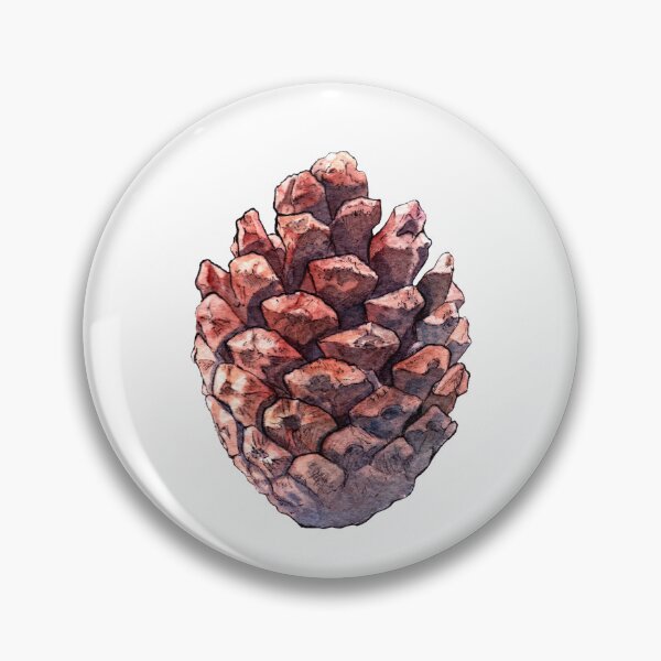 Item preview, Pine cone - Watercolor Art illustration designed and sold by AquarellChill.