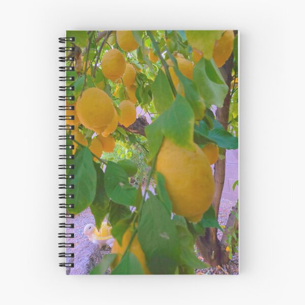 Item preview, Lemon branch buffet  designed and sold by Margaret McNally.