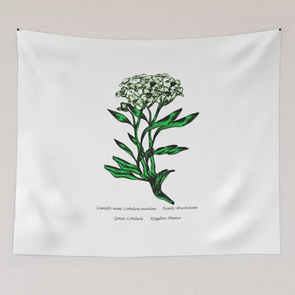 Item preview, Delicate Charm of Sea Lobulariar designed and sold by Flores1965.