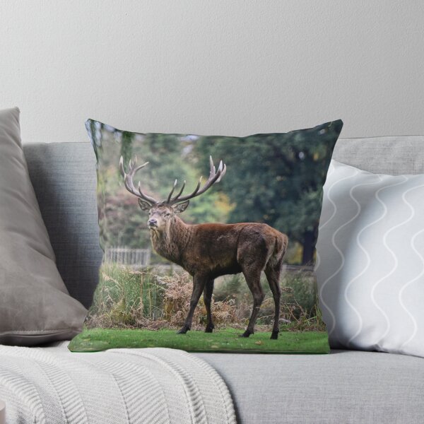 Item preview, Red Deer Stag 2 designed and sold by DJPImages.