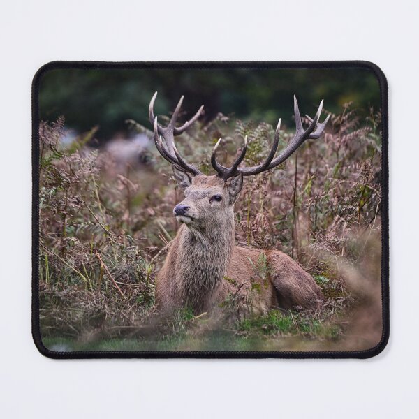 Item preview, Red Deer Stag 3 designed and sold by DJPImages.
